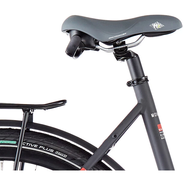 Ortlerortler-montana Vélos De Trekking électriques E-Montana 400 Col De Cygne, Noir 6 Ortlerortler-montana Vélos De Trekking électriques E-Montana 400 Col De Cygne, Noir – Image 6